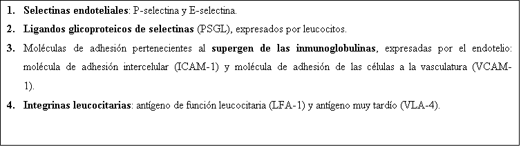 Text Box: 1.	Selectinas endoteliales: P-selectina y E-selectina.
2.	Ligandos glicoproteicos de selectinas (PSGL), expresados por leucocitos.
3.	Moléculas de adhesión pertenecientes al supergen de las inmunoglobulinas, expresadas por el endotelio: molécula de adhesión intercelular (ICAM-1) y molécula de adhesión de las células a la vasculatura (VCAM-1). 
4.	Integrinas leucocitarias: antígeno de función leucocitaria (LFA-1) y antígeno muy tardío (VLA-4).

